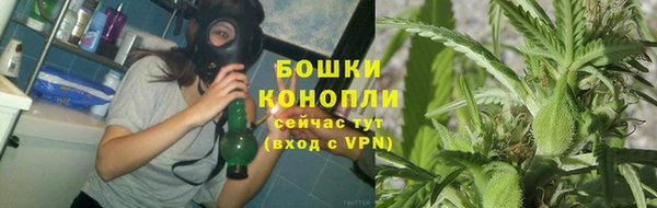 стаф Костерёво