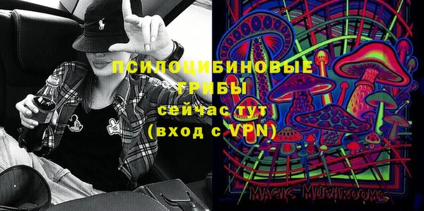 стаф Костерёво