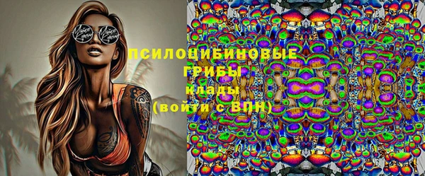 стаф Костерёво