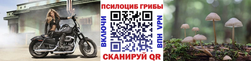 Псилоцибиновые грибы MAGIC MUSHROOMS Мелеуз