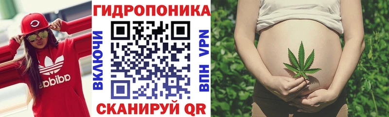 как найти   Мелеуз  Шишки марихуана тримм 